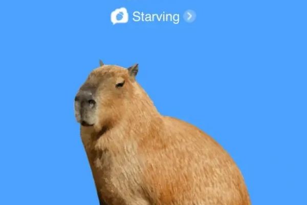 Capybara - a new tapa in a telegram by Sui